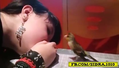 girl bird spring voice