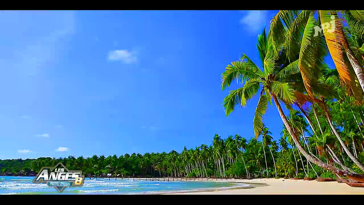 Le générique des Anges de la Téléréalité 8