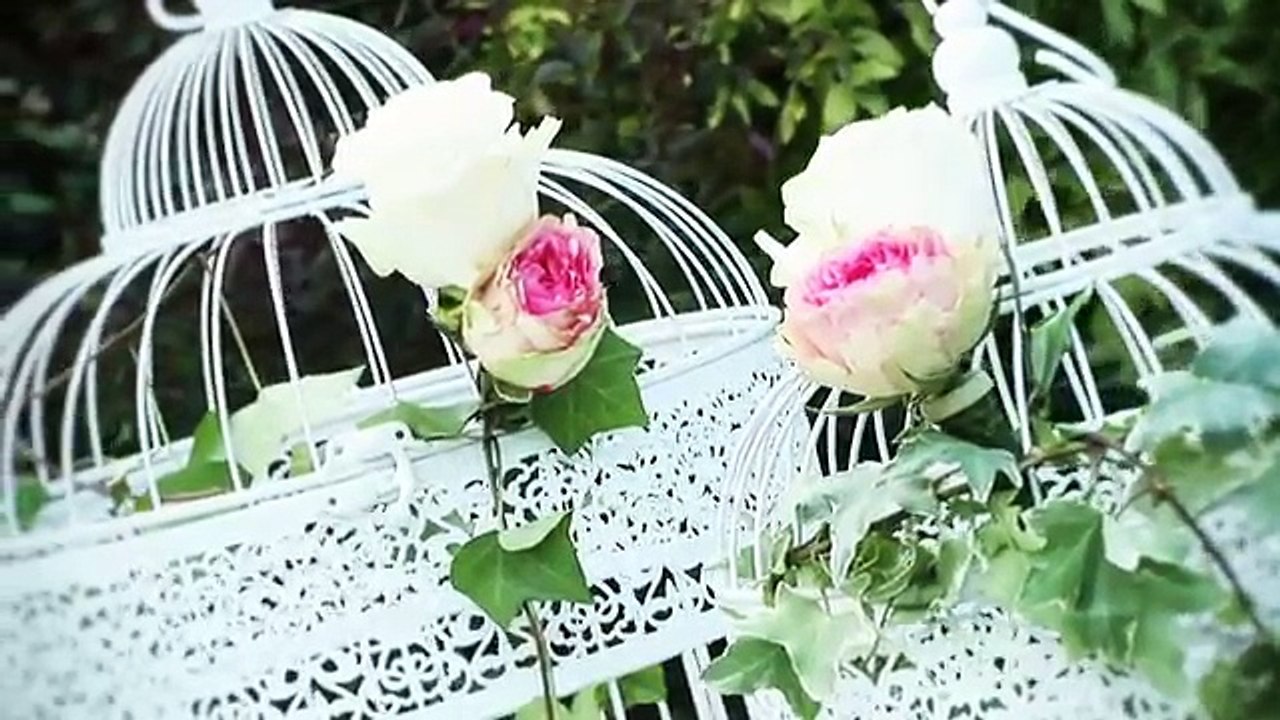 Il tuo Matrimonio a Palazzo Stella - Crespellano (BO) - Produzioni Video Overload Studio