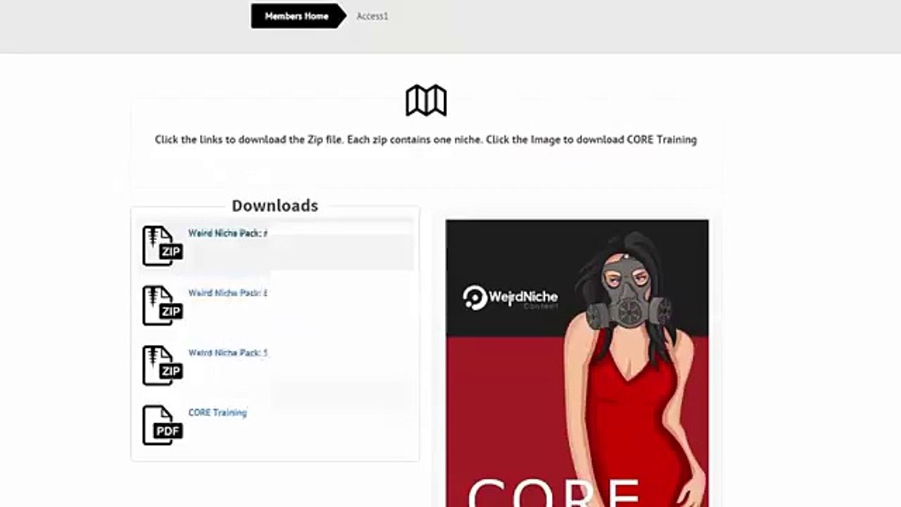 Weird Niche Content review - What is it including inside?