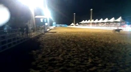 haras hs Wild rocket bar