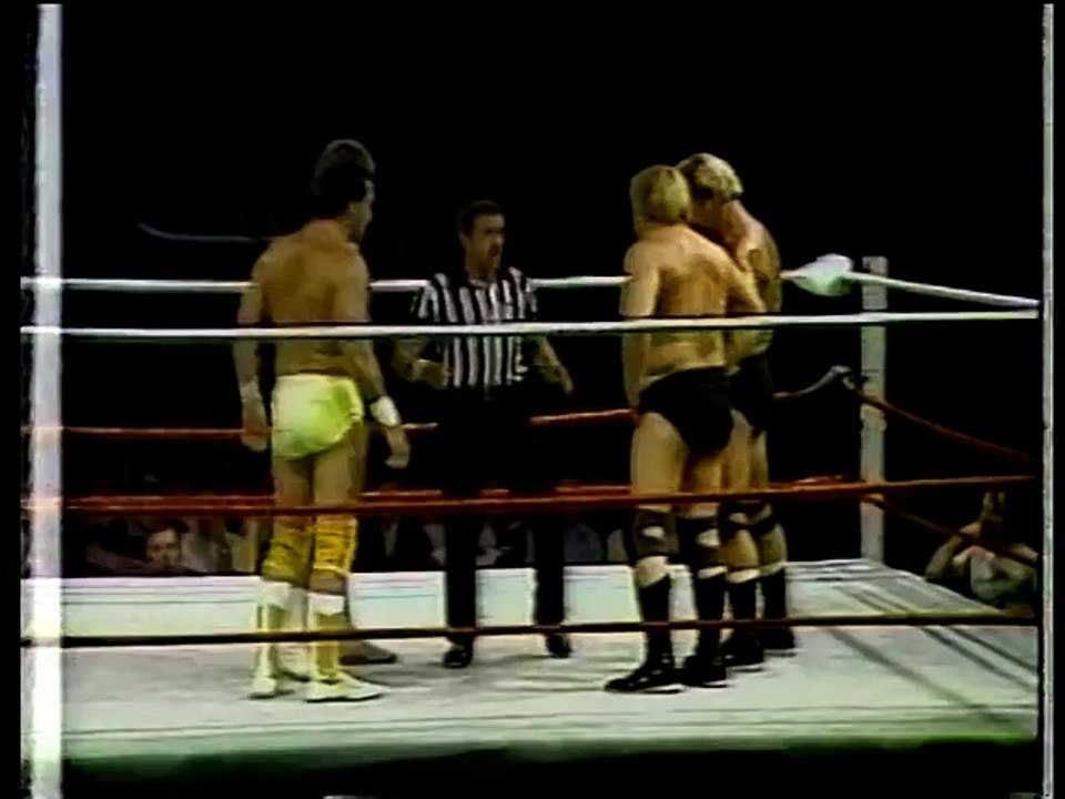 Gagne and Hennig vs Bockwinkel and Stevens