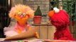 Sesame Street - Stinkys Annual Birthday Flower