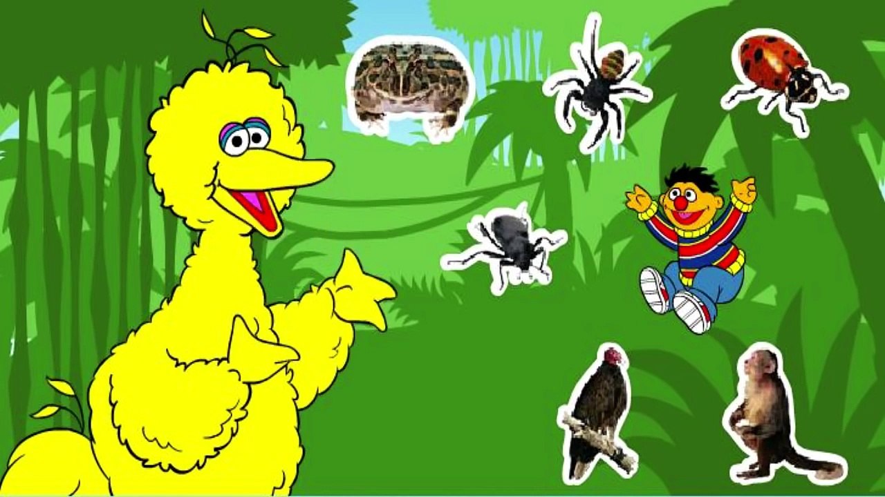 Sesame Street - Journey to Ernie - Sesame Street Games