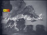 Rang Laye ga Shaheedon ka laho(Pakistan Army Song)