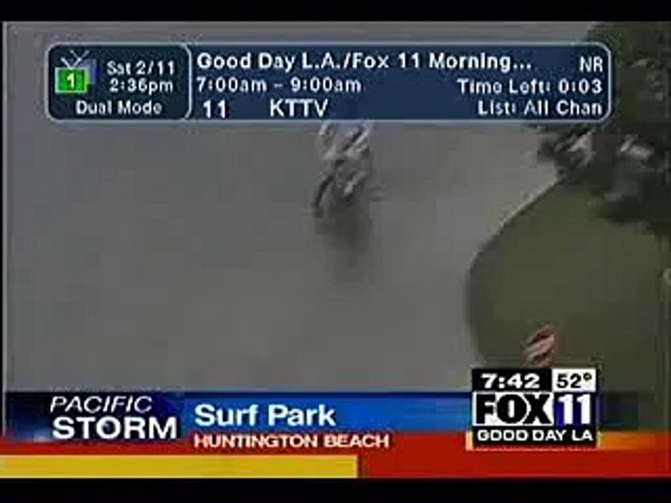 Funny Surfer Dude