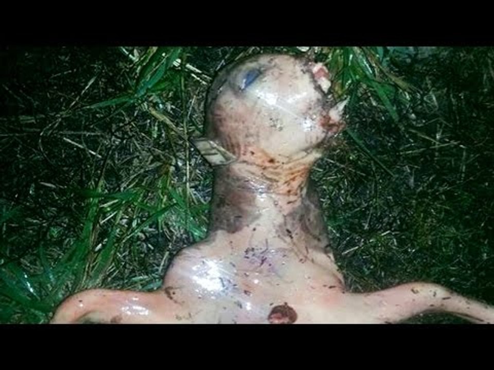 Top 10 Mysterious Creatures Caught On Camera 2015