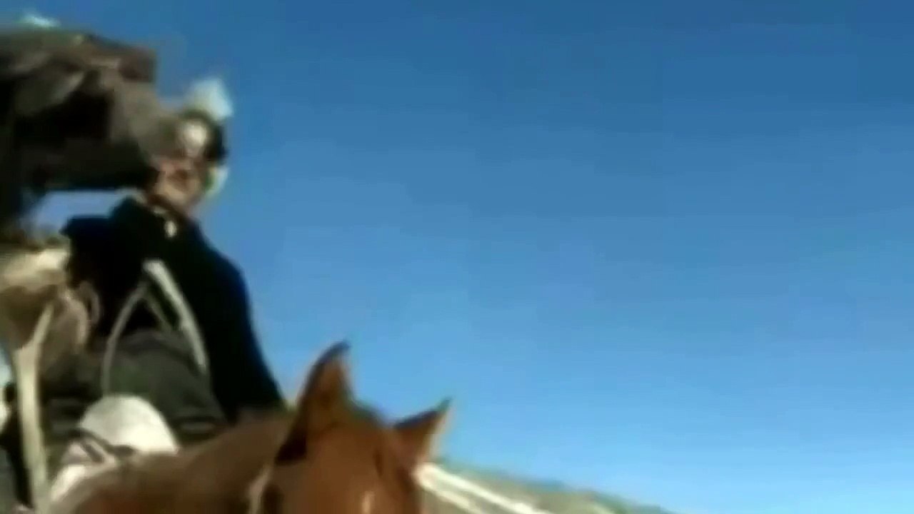 Eagle attacks Wolf, Man, other Animals - Animal Attack Video Compilation