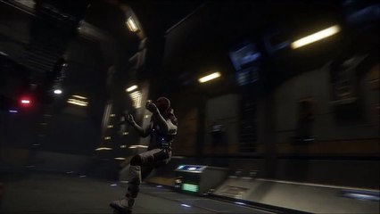 Hangar Module Ladders