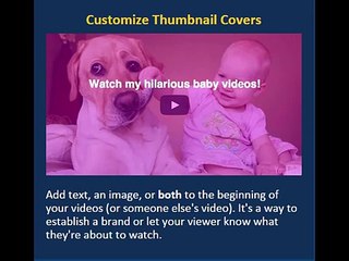 IntelliPlayer Features-IntelliPlayer Video System