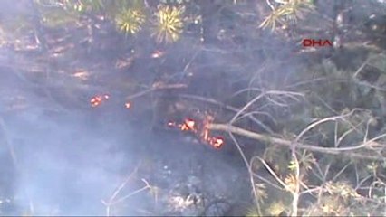 Ardahan Türkiye-Gürcistan Sınırında Yangın