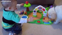 Puppies and Babies Playing Together Compilation 2014