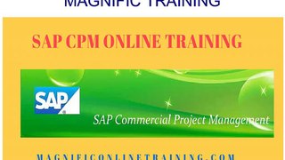 Sap_CPM_Online_Training_Services_in_UAE_USA