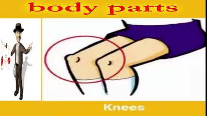 Download Video: تعليم الأطفال أجزاء الجسم بالانجيزية  body parts