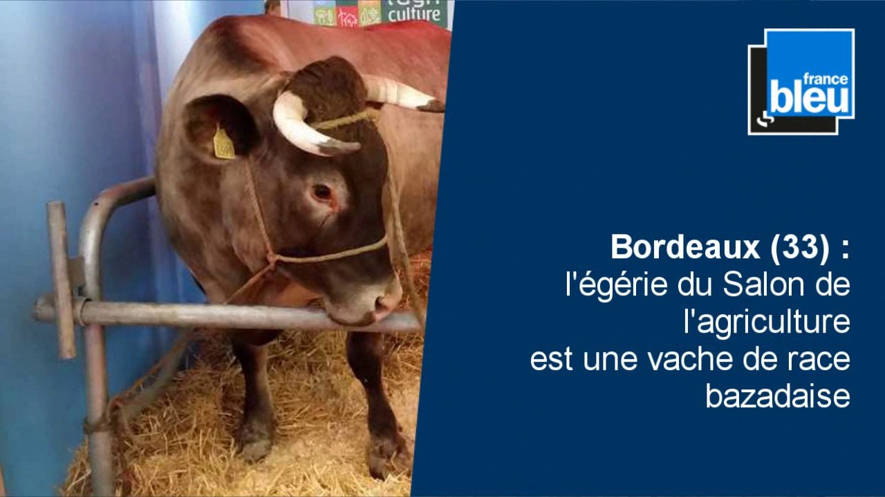 Interpellation musclée à Poitiers, reconstitution de l'accident de Rochefort, Esnest quitte la Dordogne : l'hebdo Aquitaine-Limousin-Poitou-Charentes