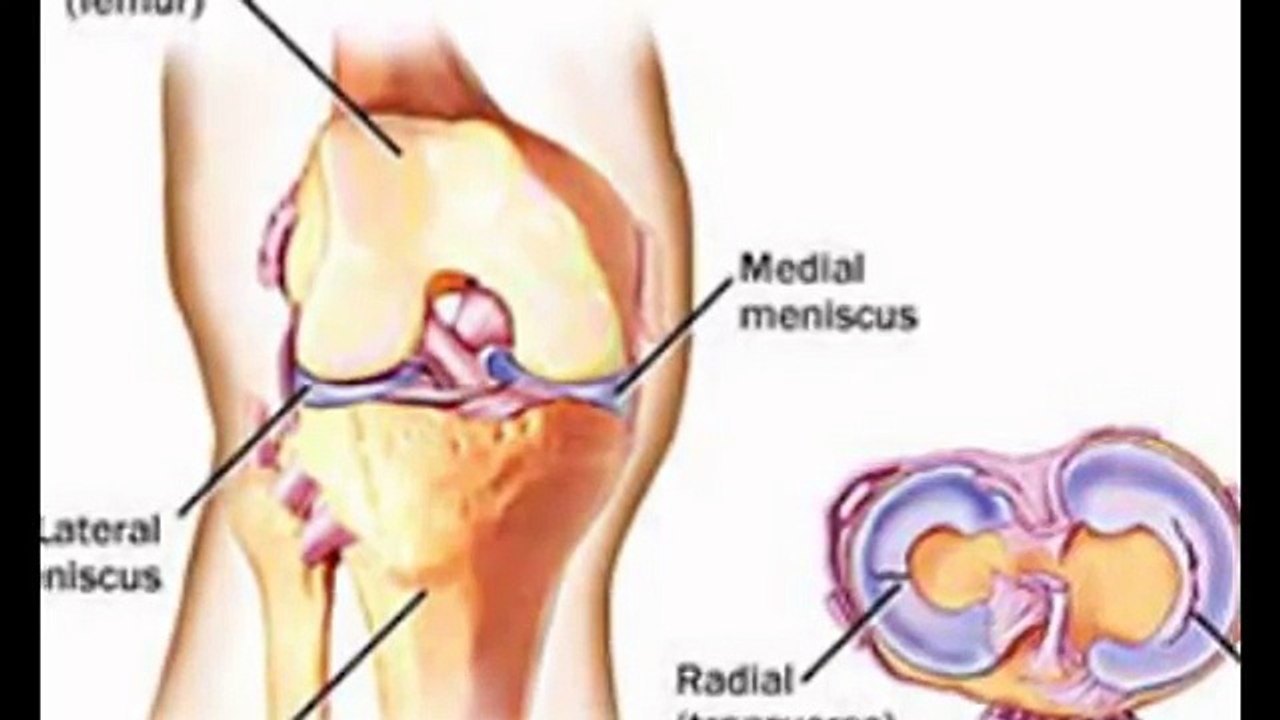 Knee Joint Replacement in Rajasthan | Knee Joint Replacement Rajasthan