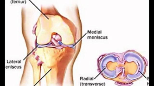 Multispeciality Hospital in Ahmedabad | Multispeciality Hospital Ahmedabad