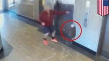 Hero man saves puppy from being strangled when leash gets caught in elevator