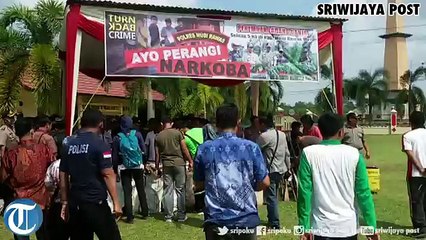 Polres dan Pemkab Muratara Bakar Barang Bukti Ganja