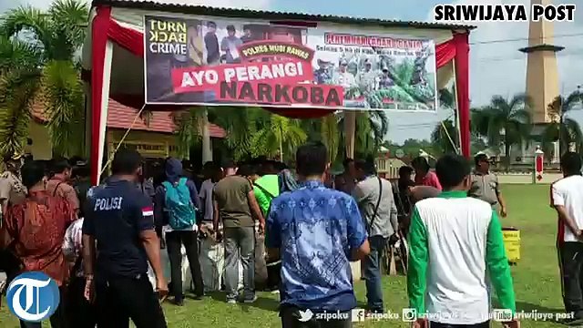 Polres dan Pemkab Muratara Bakar Barang Bukti Ganja