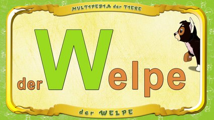 Multipedia der Tiere. Buchstabe W der Welpe