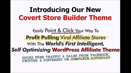 Covert Store Builder Theme Review