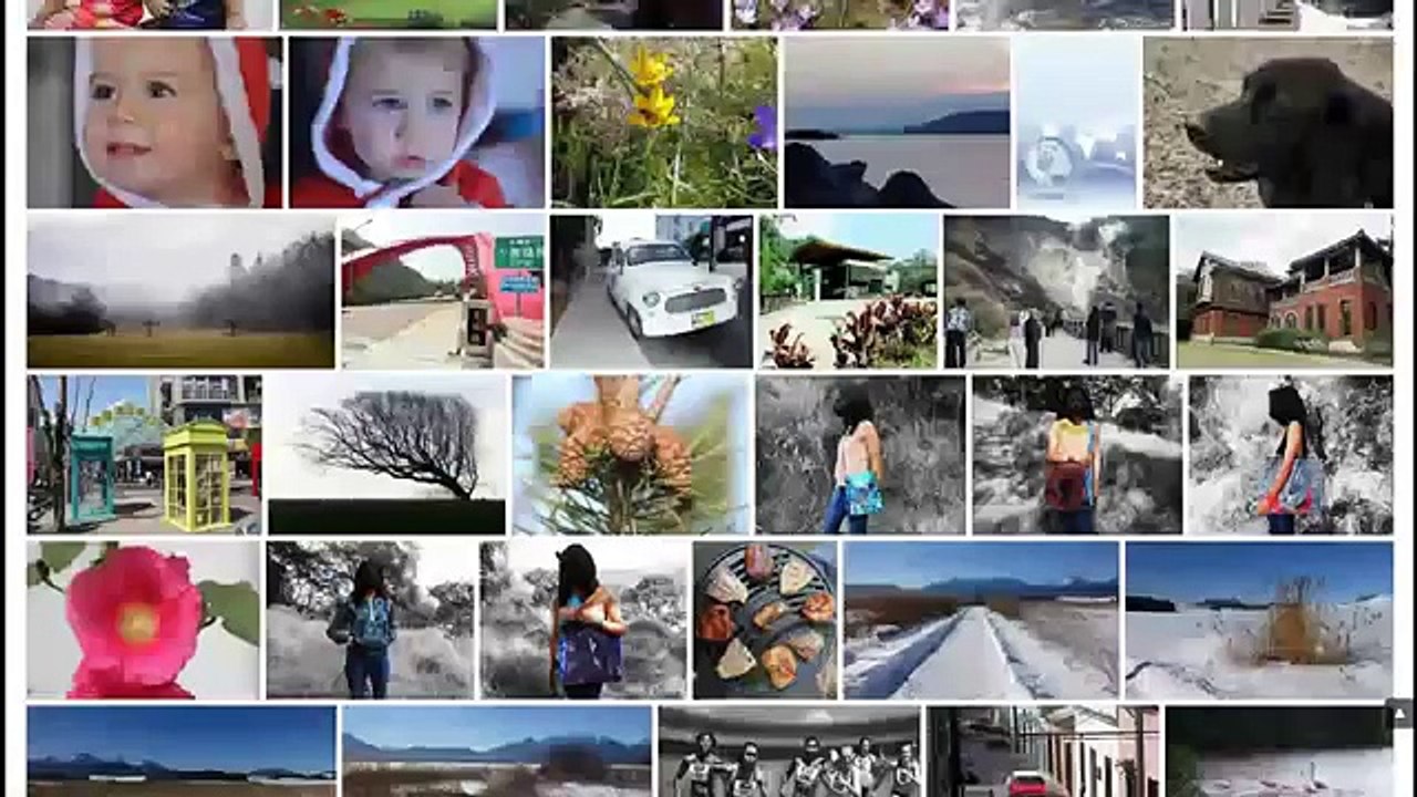 A Landing Page Monkey Bemutatása