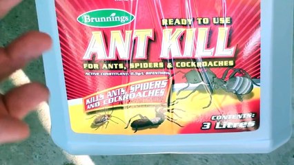 DIY Home Pest Control