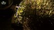 Claas Jaguar Green Eye 850 maïshakselen by night Trekkerweb drone