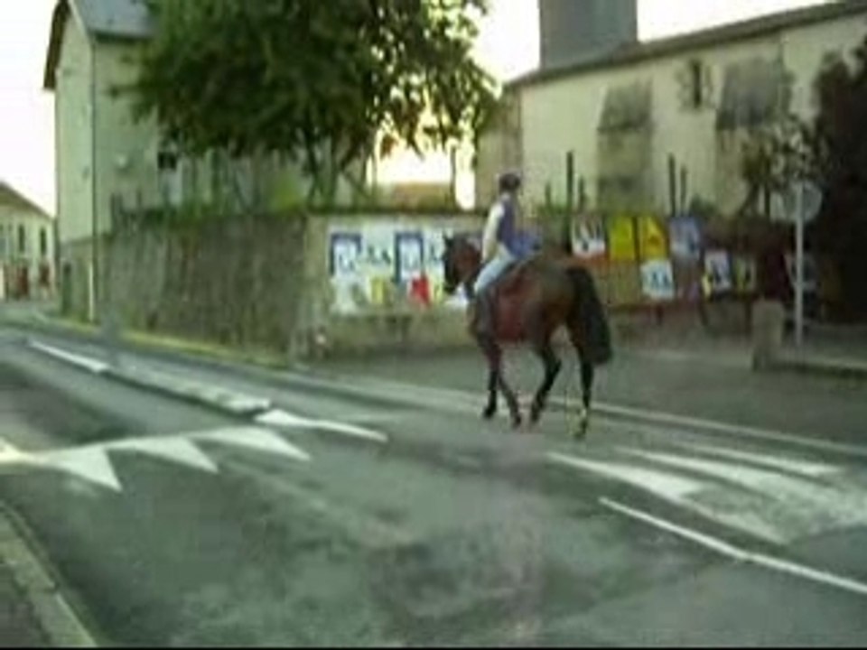 Quita et le code de la route ...