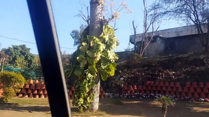 How does Mirpur A.K look - daily motion