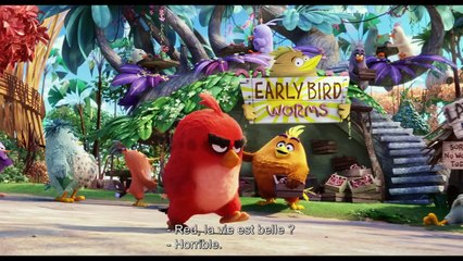 Angry Birds (Le Film) - Trailer VOST / Bande-annonce - Animation