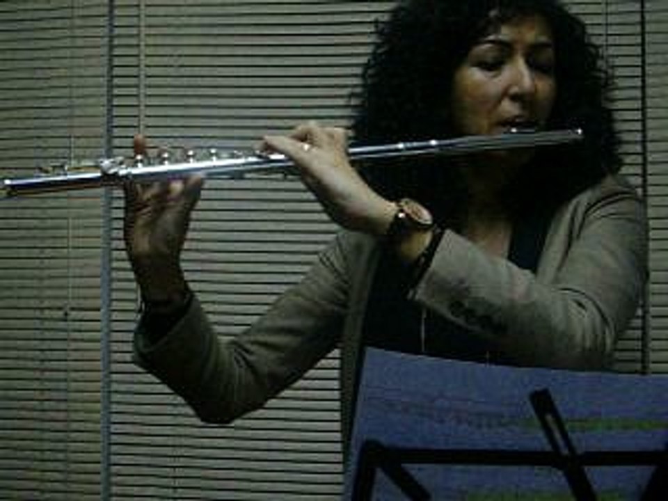 YAN FLÜT DERSİ... MEDARMONİ SANAT AKADEMİSİ_www.medarmonisanat.com