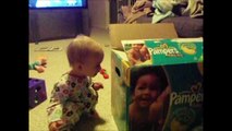 Cat in the Box - Babies and Animals - toddletale