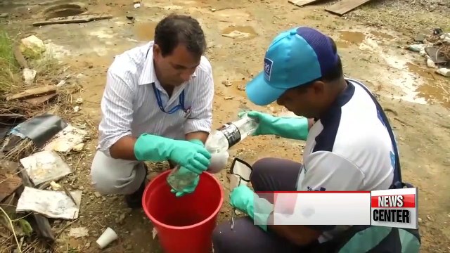 Brazil using Guppies to fight Zika virus