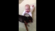 Dog and Baby Play, Baby Throws Up On Dog - Babies and Animals - toddletale