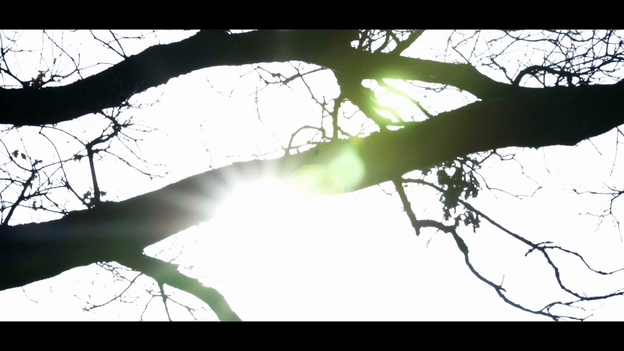 Ralf Hartmann feat. Louis Bertignac -La vie tranquille (Clip Officiel)