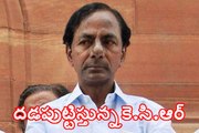 KCR attracting all parties leaders