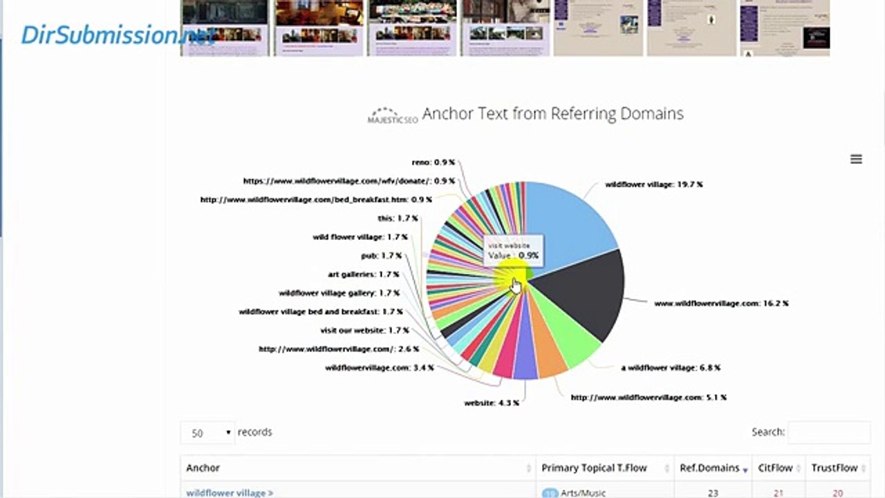Website SEO Analysis Tool for Website Metrics from Serped.net Online Tools.