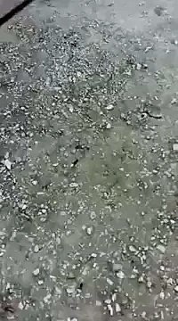 Необычные ворота