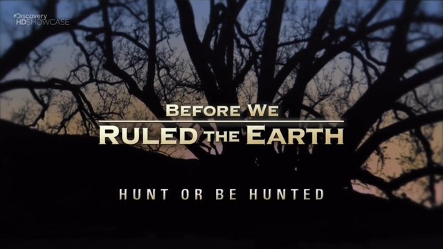 Прежде чем мы покорили Землю 01. Охотник или жертва | Discovery HD