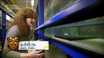 وثائقي خطير الكوارث الطبيعية العشرة الأولى ناشينال جيوجرافيك 1