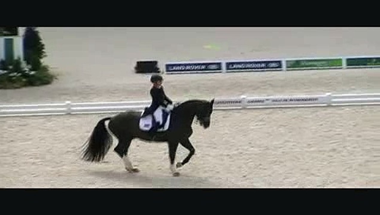 JEUX EQUESTRES MONDIAUX 2014 NORMANDIE