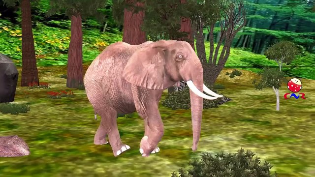 Finger Family Elephant | ChuChu TV Animal Finger Family Songs & Nursery Rhymes For Childre