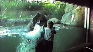 Kids At The Aquarium