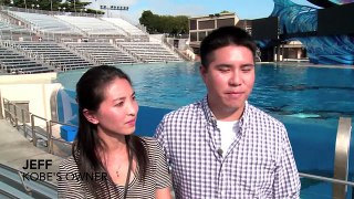 Kobe The Therapy Dog Meets Dolphins and Whales At SeaWorld San Diego - SeaWorld®