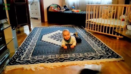 ---Cute Cats and Dogs Love Babies Compilation 2015