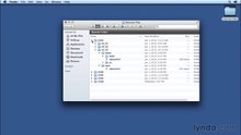 Learn React.js: The Basics 03 Using the exercise files