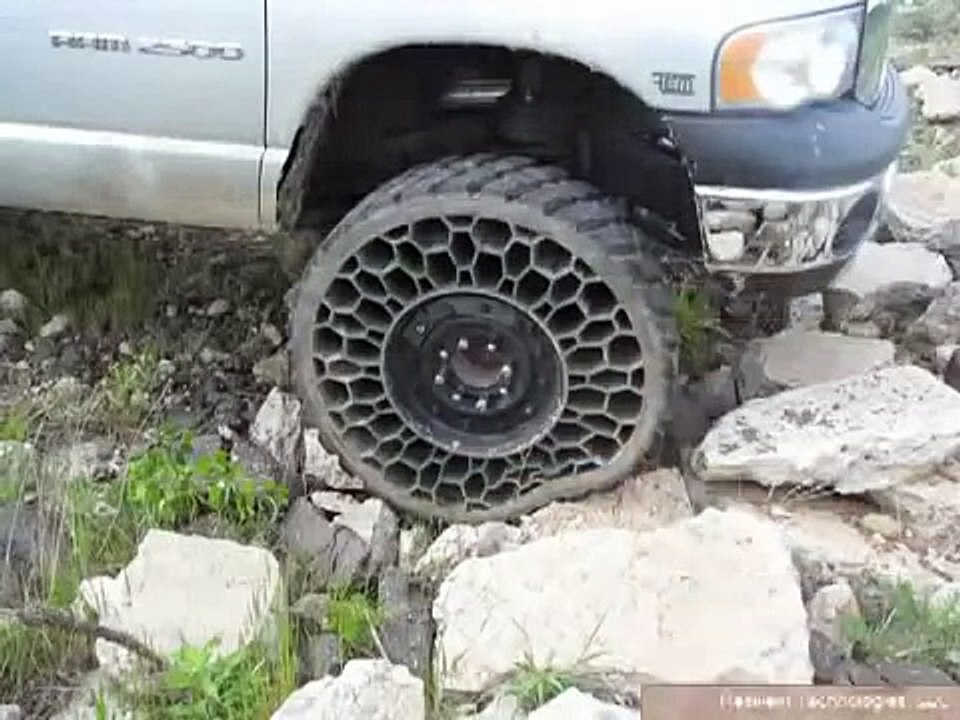 Шины