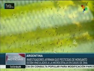 Científicos afirman que pesticida de Monsanto está vinculado con zika